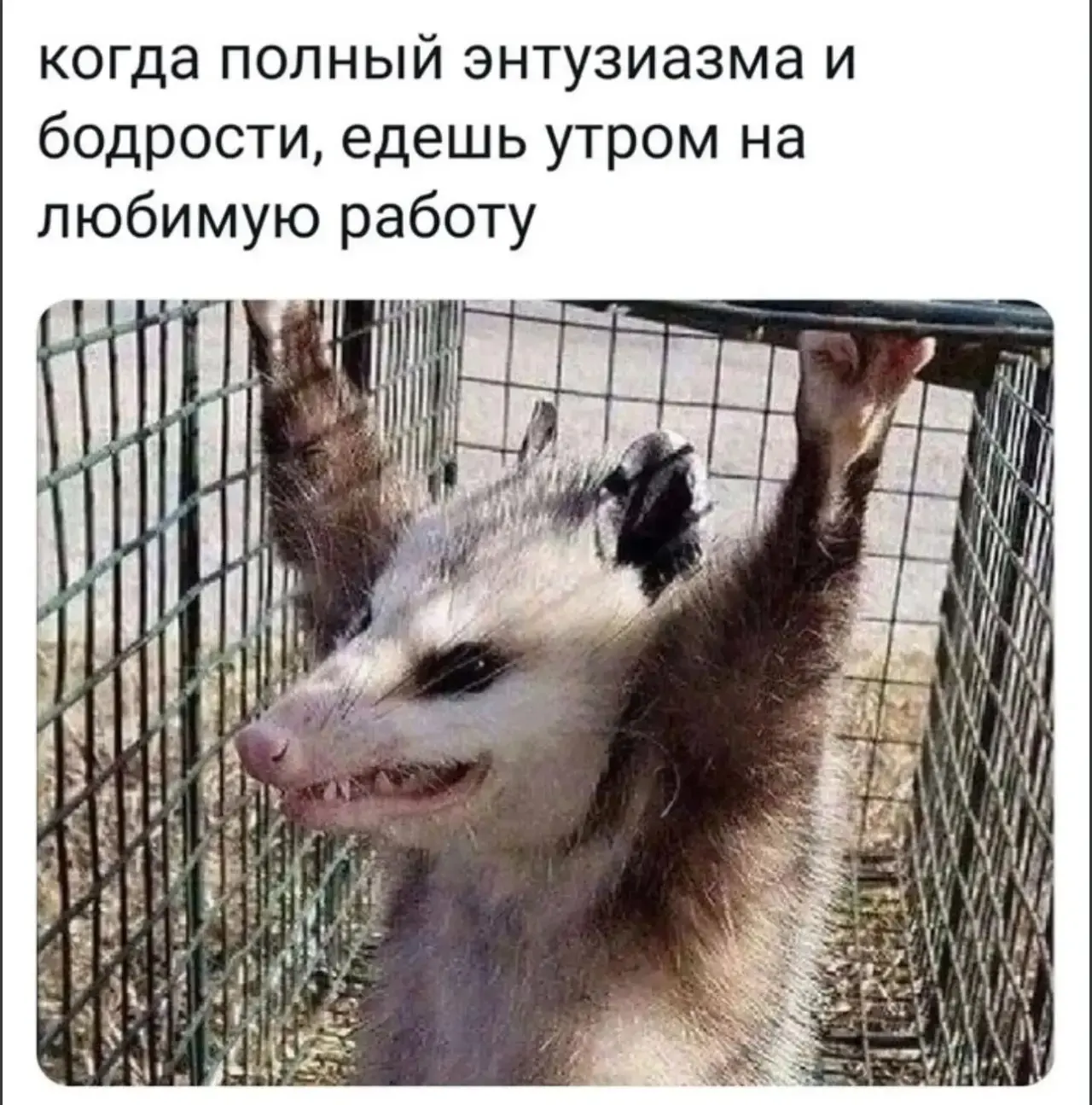 В «Глобусе» решили проблему тех, кто по полчаса выбирает чипсы. У полок с Lay’s постави...
