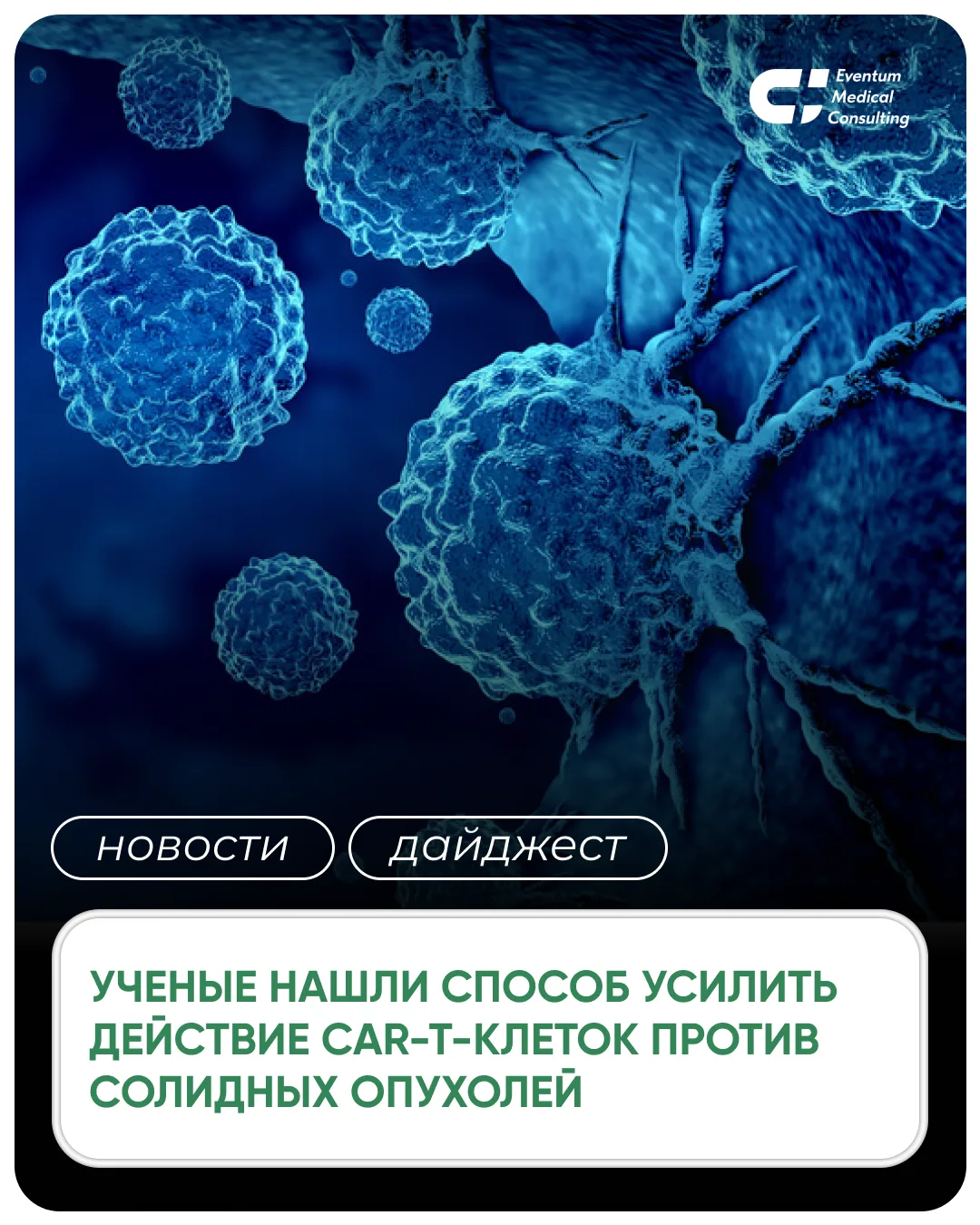 #новости #дайджест