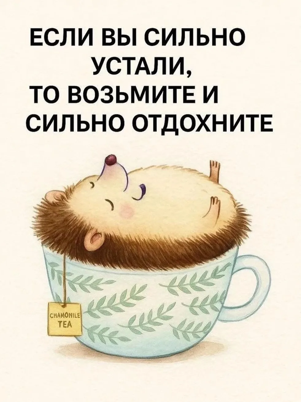 😍ОтКрытка ОтДуши❣️

💯