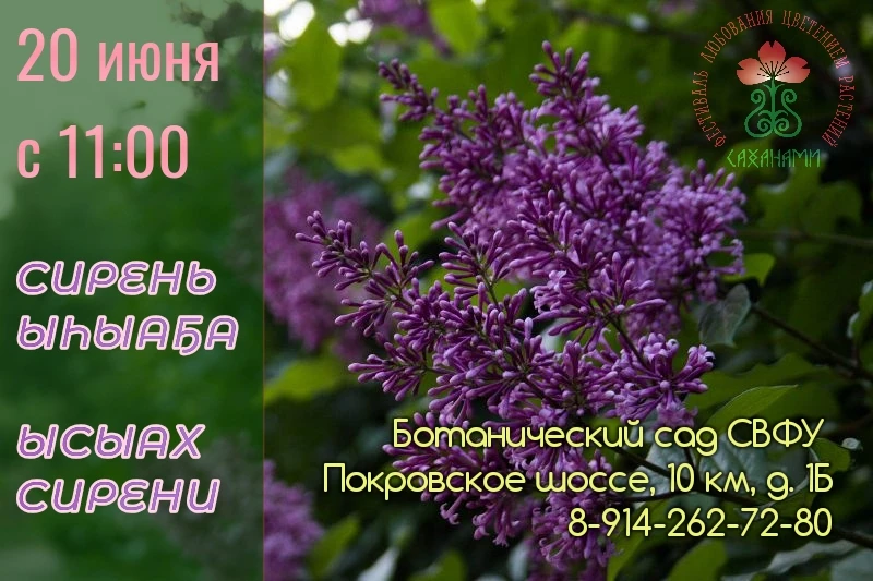 Сирень Ыһыаҕа
Ысыах сирени
суббота 20 июня с 11:00
в Ботаническом саду СВФУ