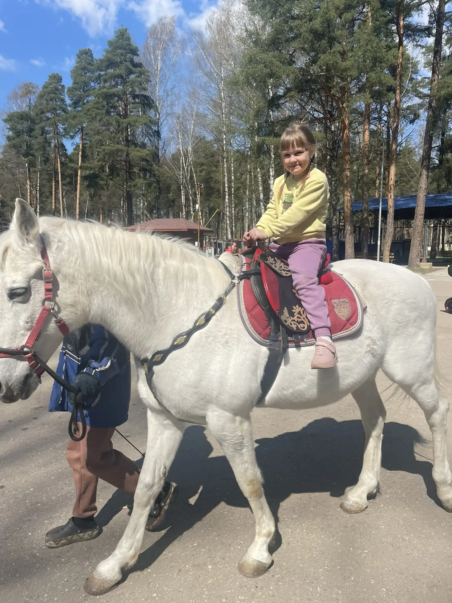 Мы с Машкой к вам на белом коне 🐎

С напоминанием про детские свитшоты 🤍

Мы продолжаем принимать 