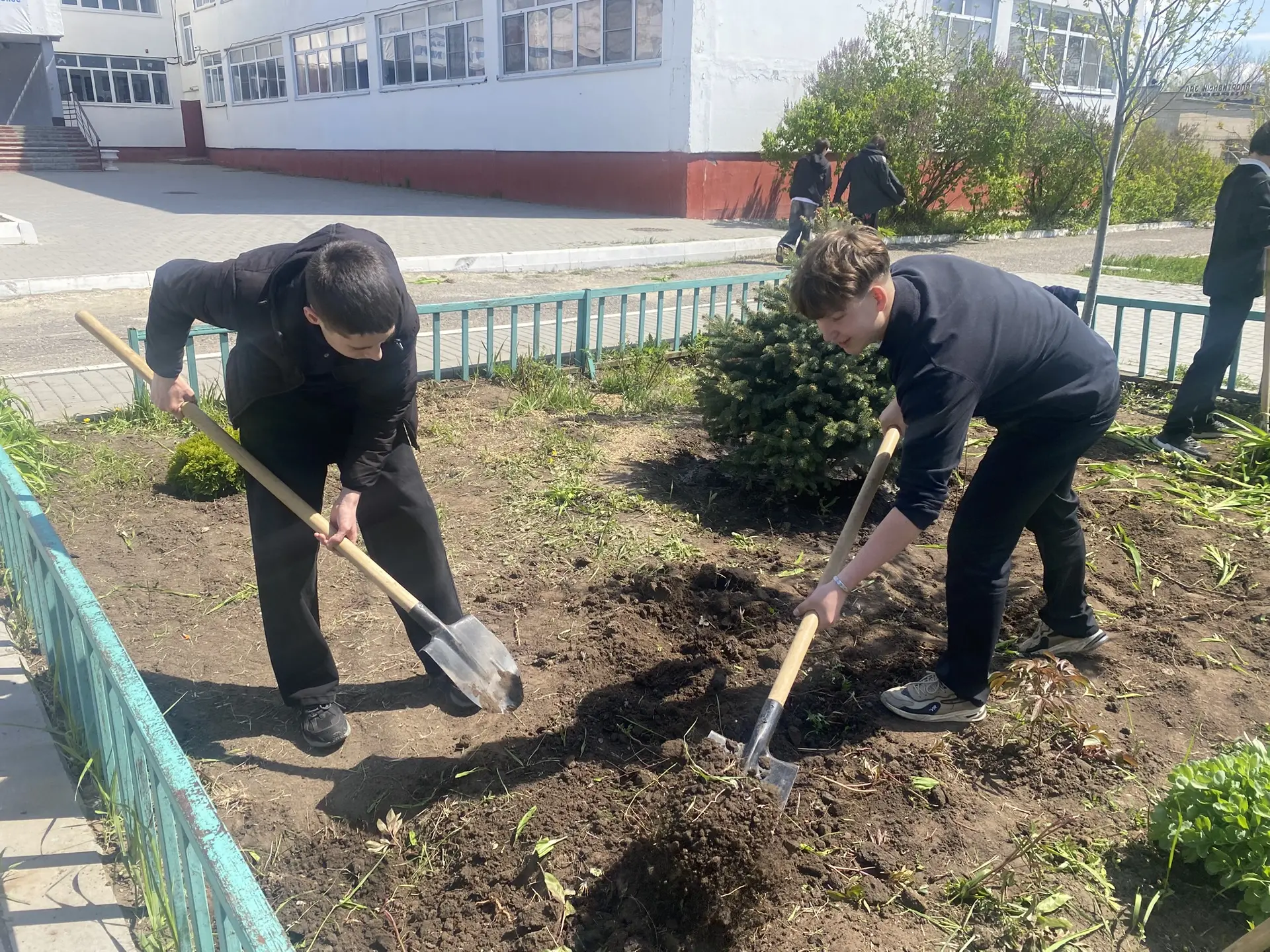 🌳Зеленый школьный двор: обновление нашего общего пространства🌳  💫Наш школьный двор стал заметно зеле