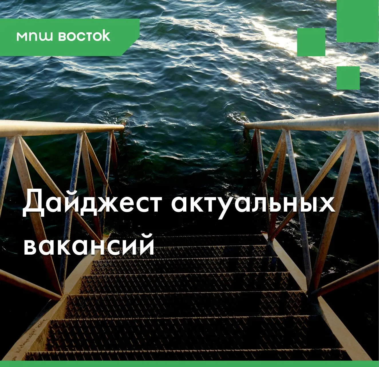 Дайджест от МПШ Восток: