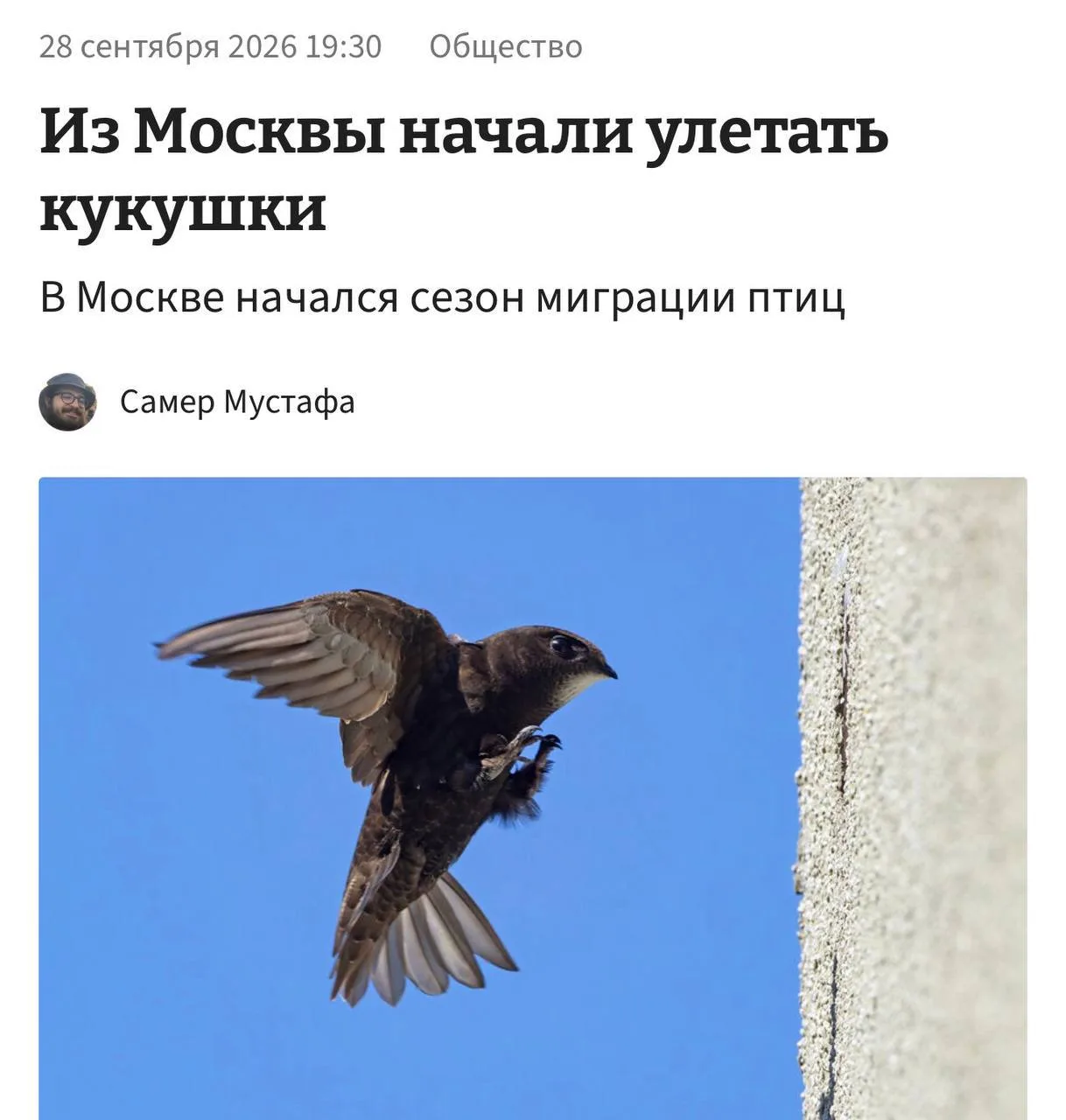 В Москве начался массовый отлёт кукушек. Стартовал сезон миграции птиц.