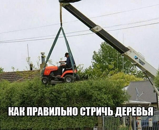 Подписаться на канал «Союз Арбористов РФ»