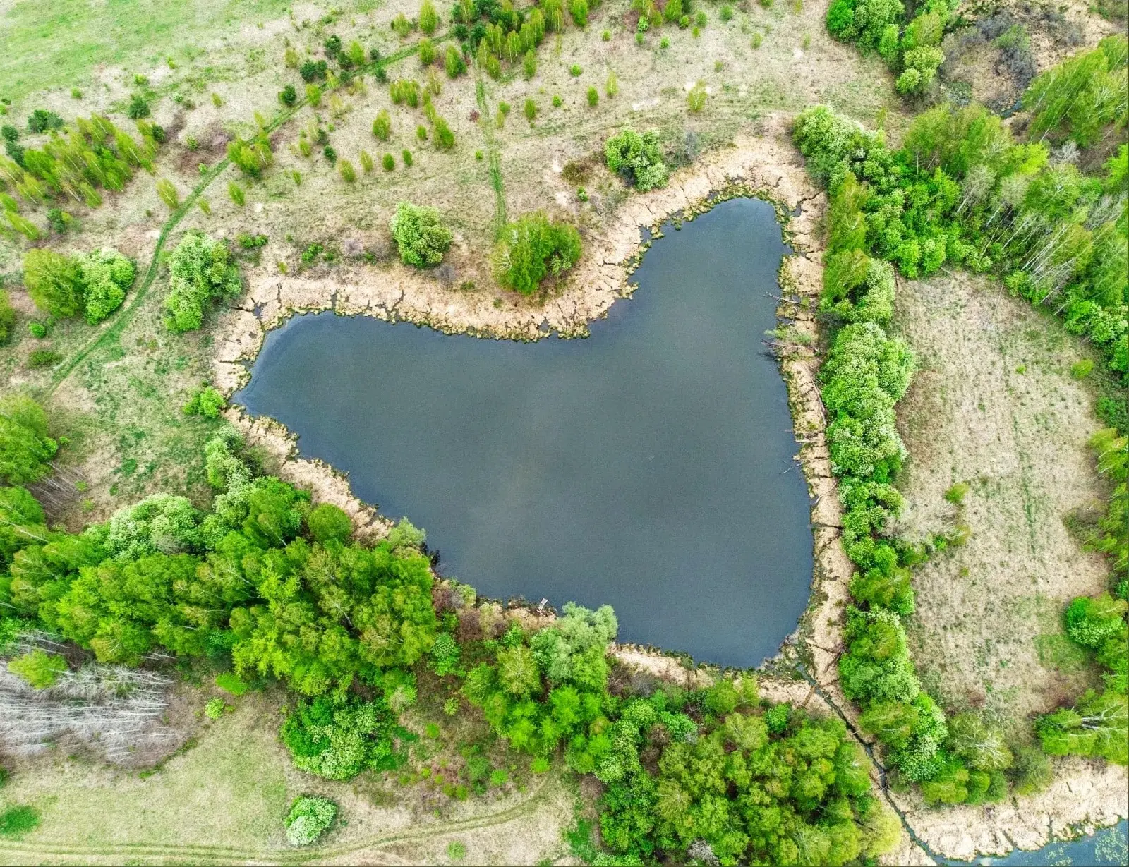 Озеро-сердце в Кунгурском районе 
 
Фото: Алексей Сметкин
