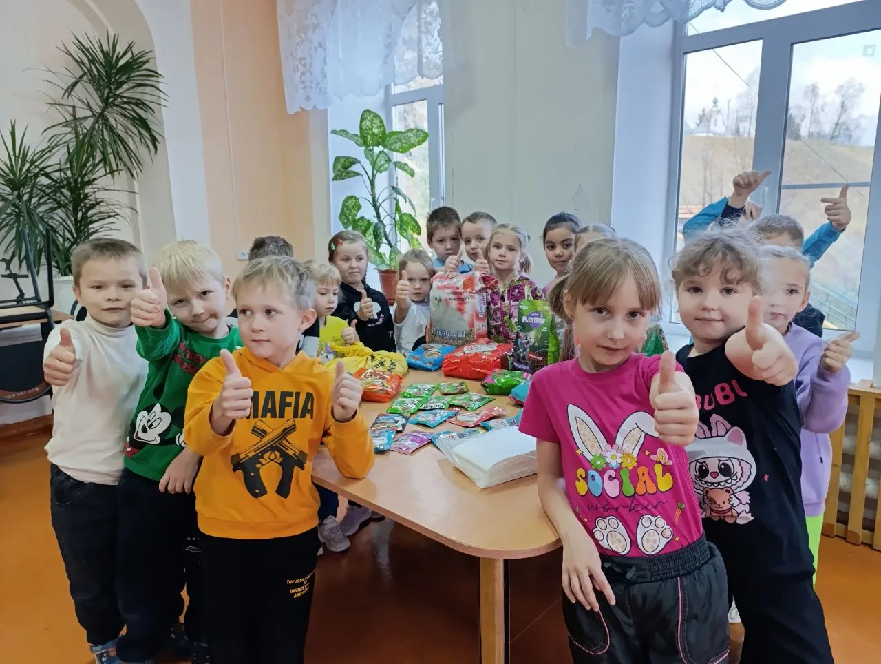 ‼Благотворительная акция по сбору корма для бездомных животных!