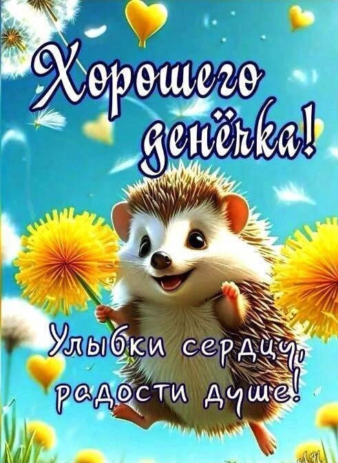 Открытки добрый день