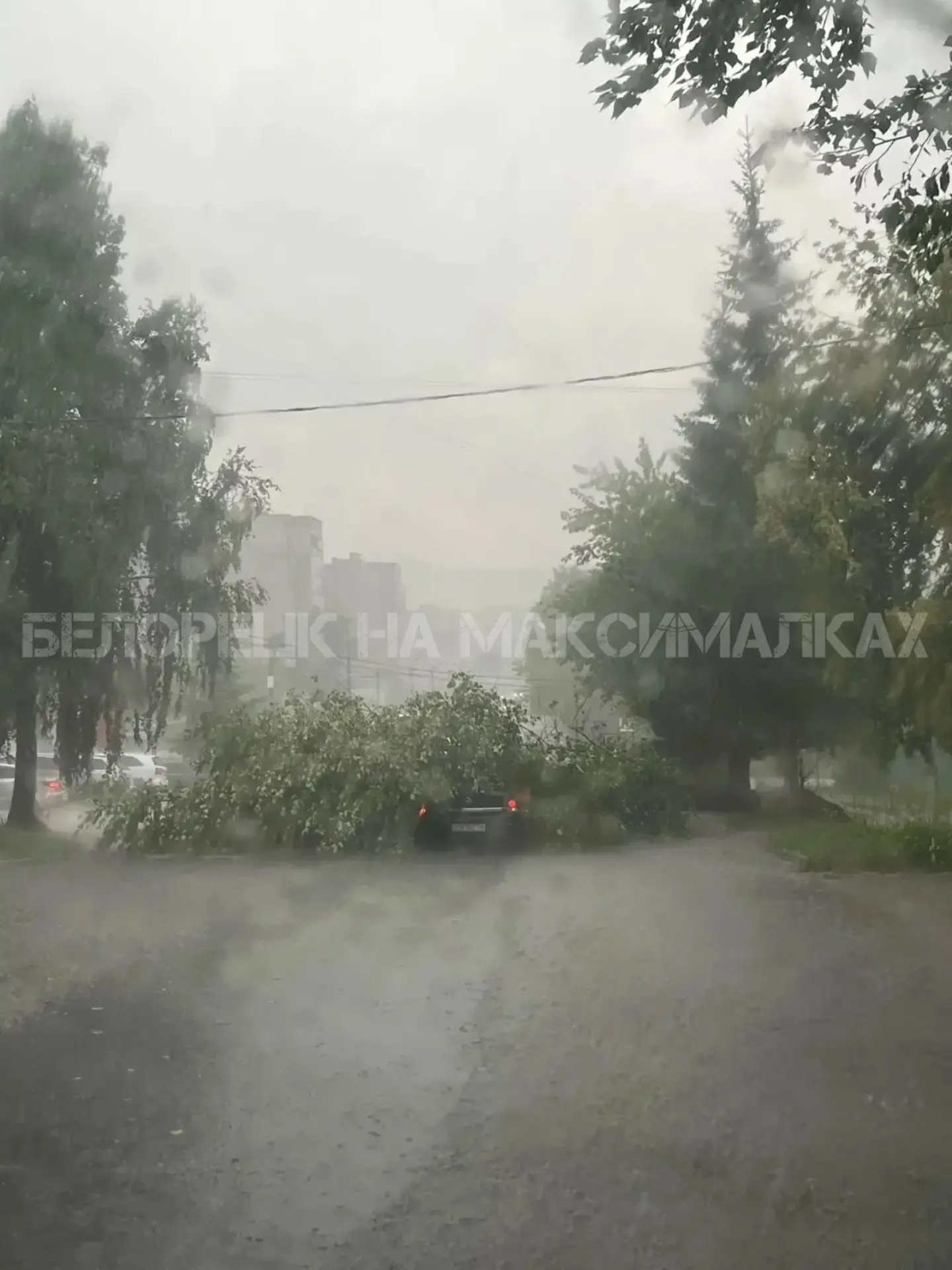 С другого ракурса, на машину упало дерево