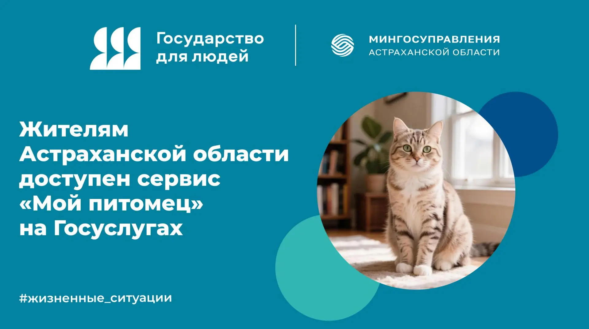 Астраханцы могут управлять данными о своих питомцах с помощью Госуслуг
