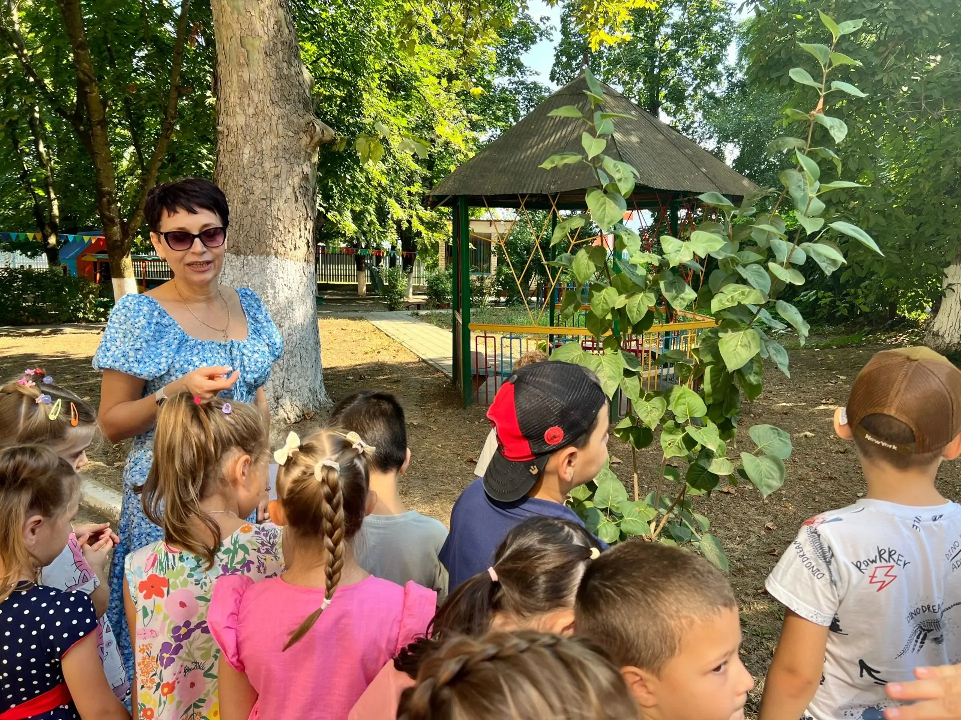 🌳🍃 🍂 Гербарий своими руками