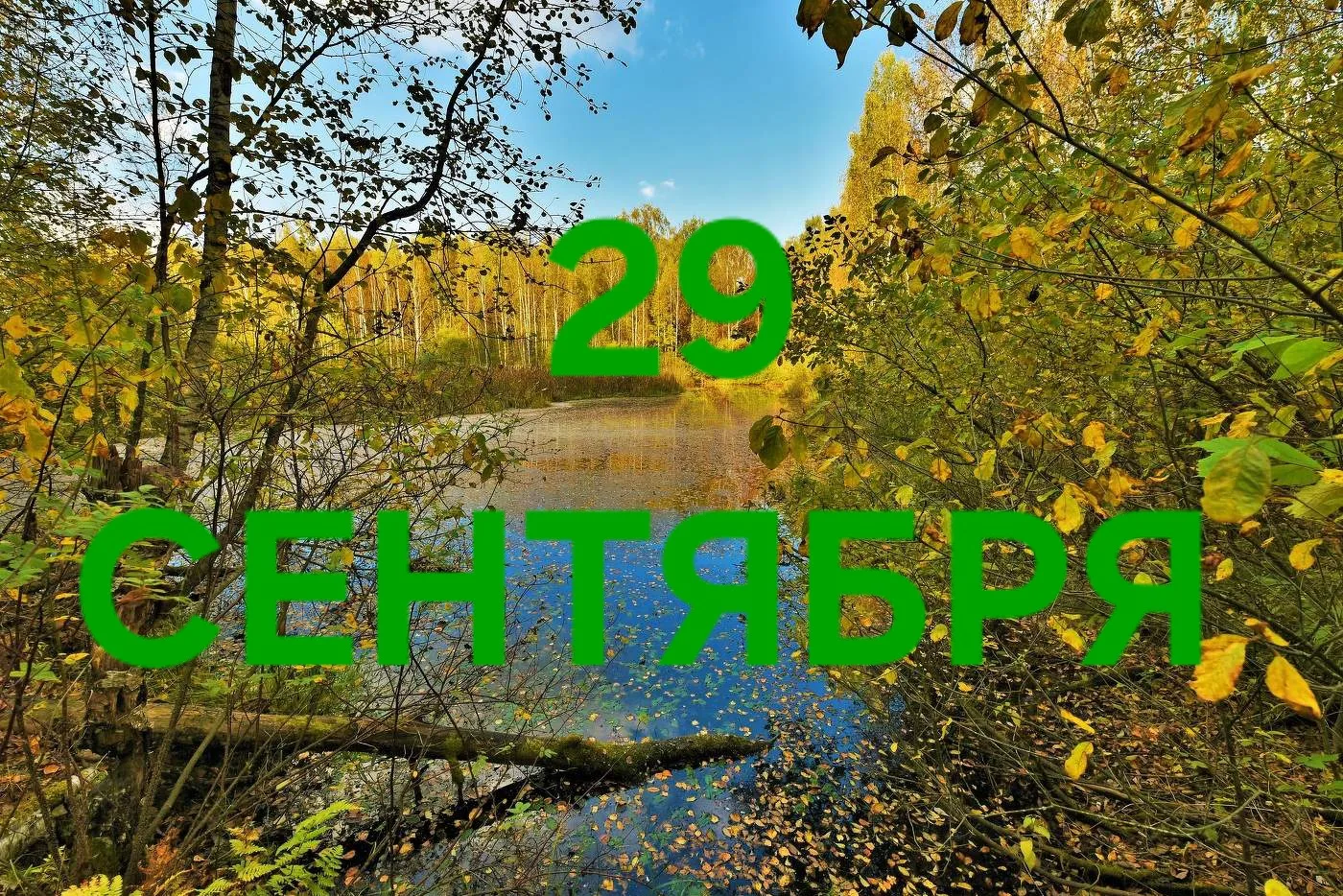 29 Сентября: Энергия анализа, целеустремлённости, успеха, знаний и творчества ❤️🤗✍️