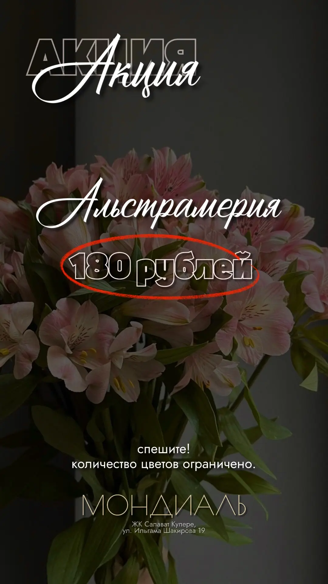 ❣️Цветы, которые дарят настроение.