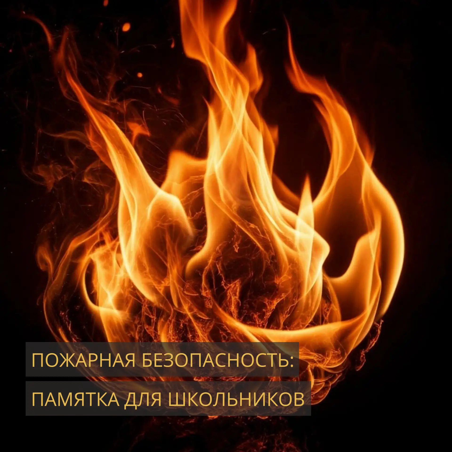 📝 ОБЩИЕ ТРЕБОВАНИЯ БЕЗОПАСНОСТИ
