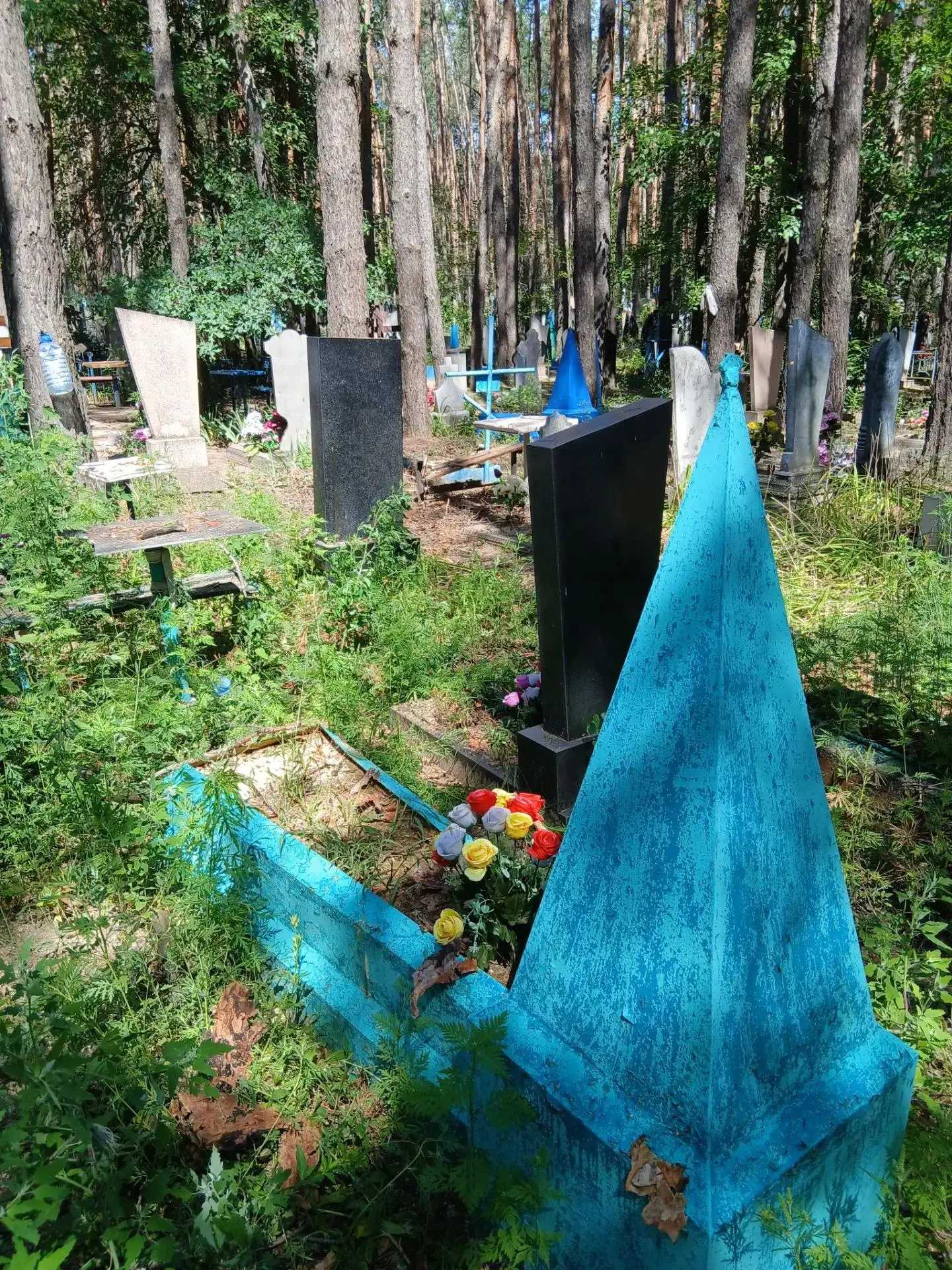 Оперативная уборка территории кладбища в селе Чмыровка

В связи с неблагоприятными погодными условия