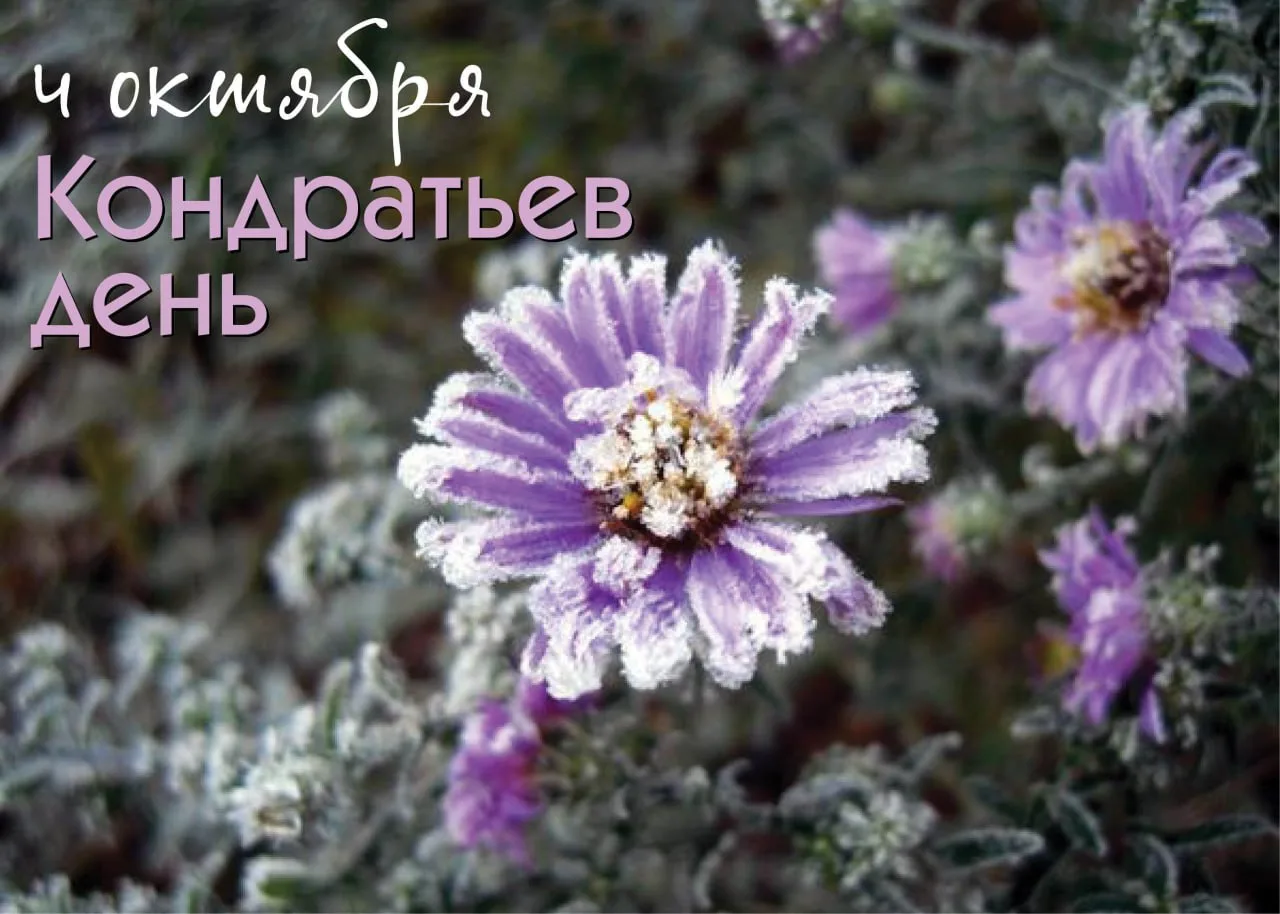 Народный календарь