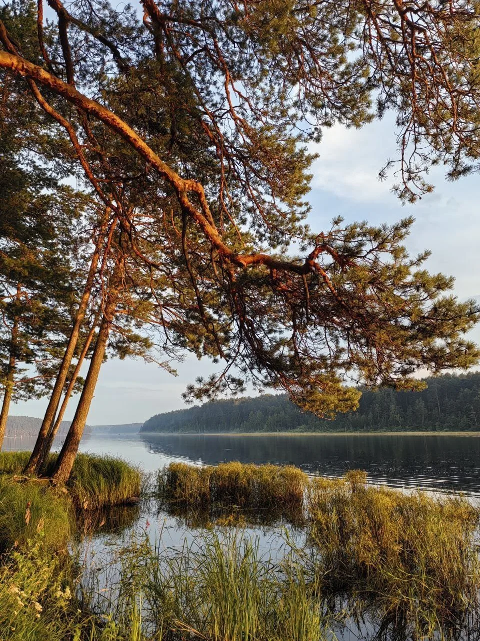 🌊  Сысертское водохранилище (Сысертский пруд), Сысертский городской округ