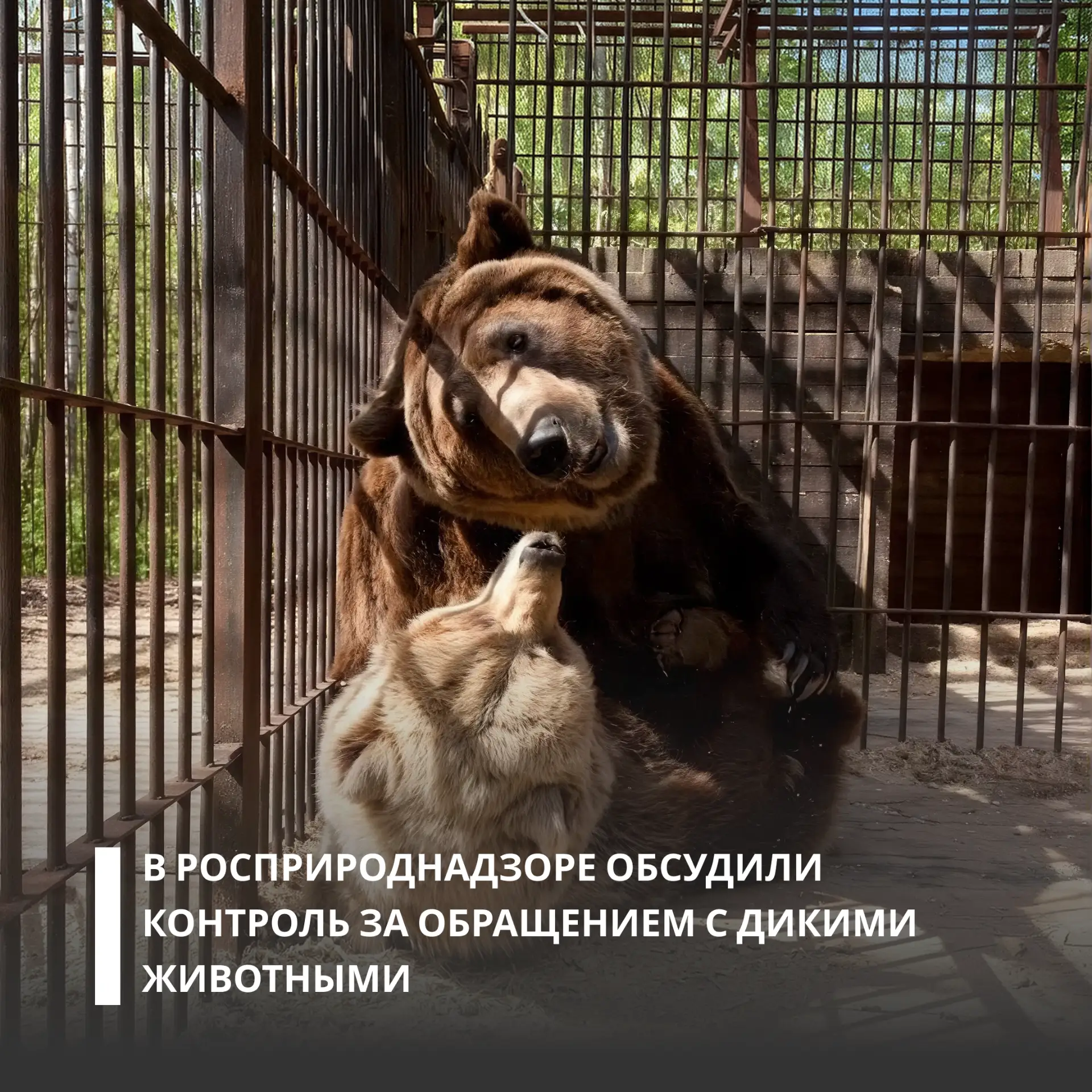 Специалисты Росприроднадзора провели совещание с представителями территориальных управл...