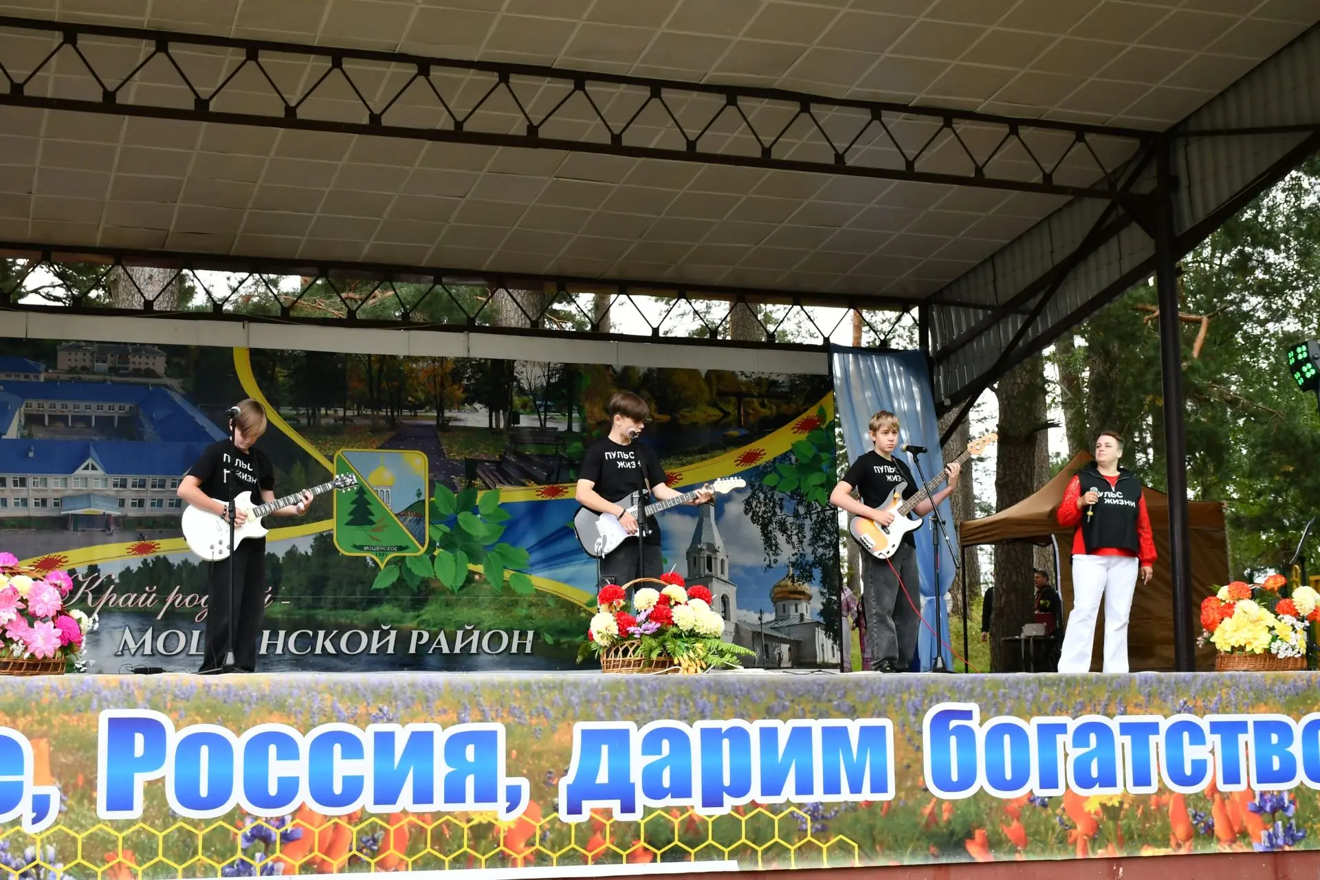 🎉 День Мошенского района — наш общий праздник, созданный с душой!