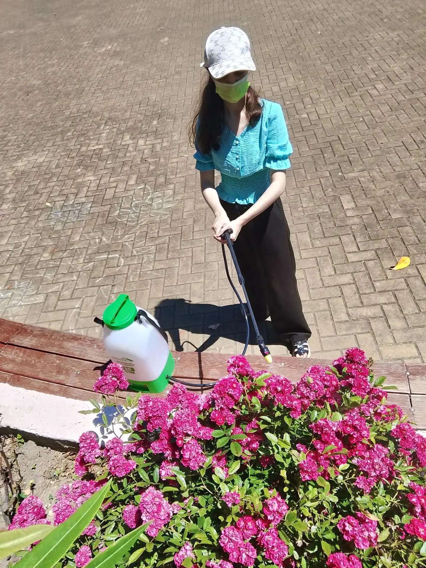 🌿 Вместе заботимся о природе! 🌿