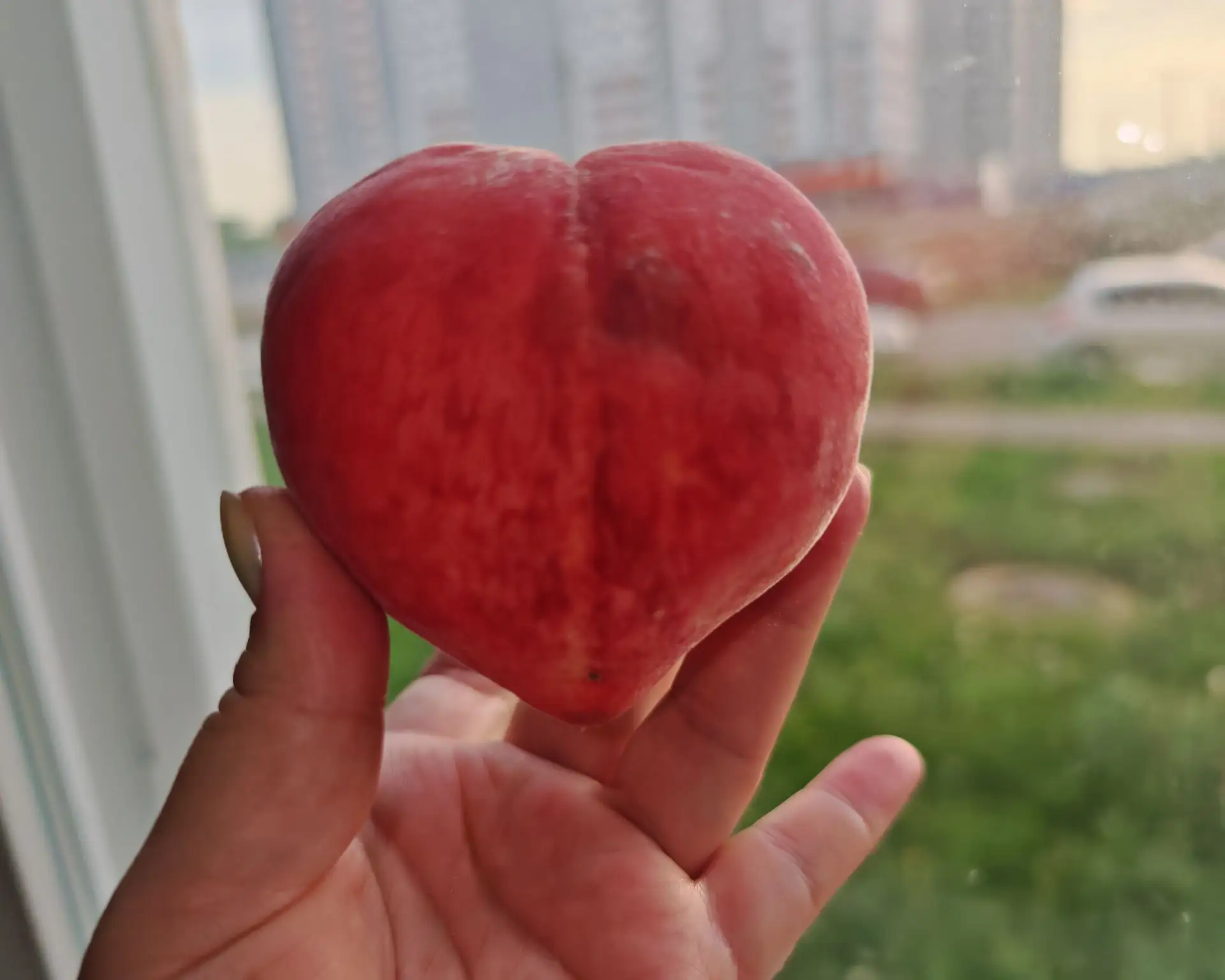 Доброе утро понедельника, Дорогие друзья 🩷.
