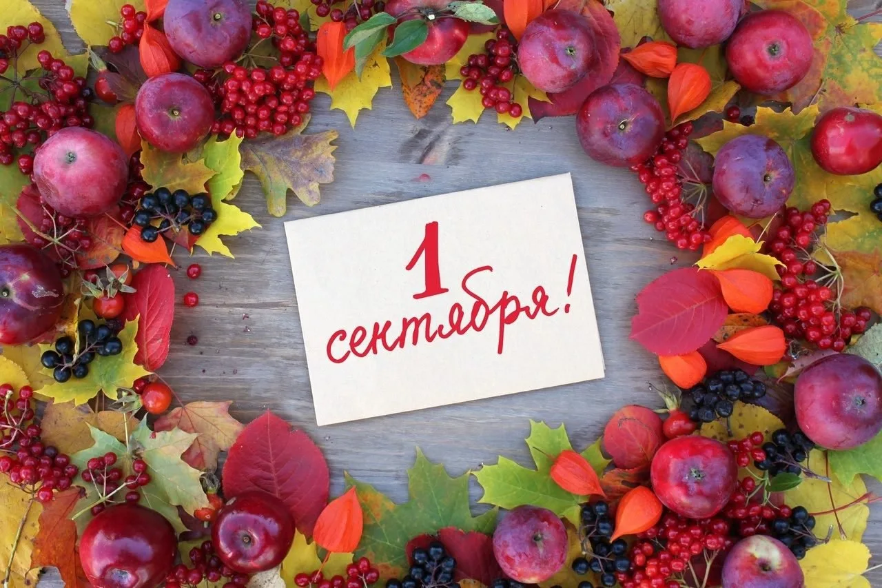 🍁 Друзья, поздравляем вас с Днём знаний!