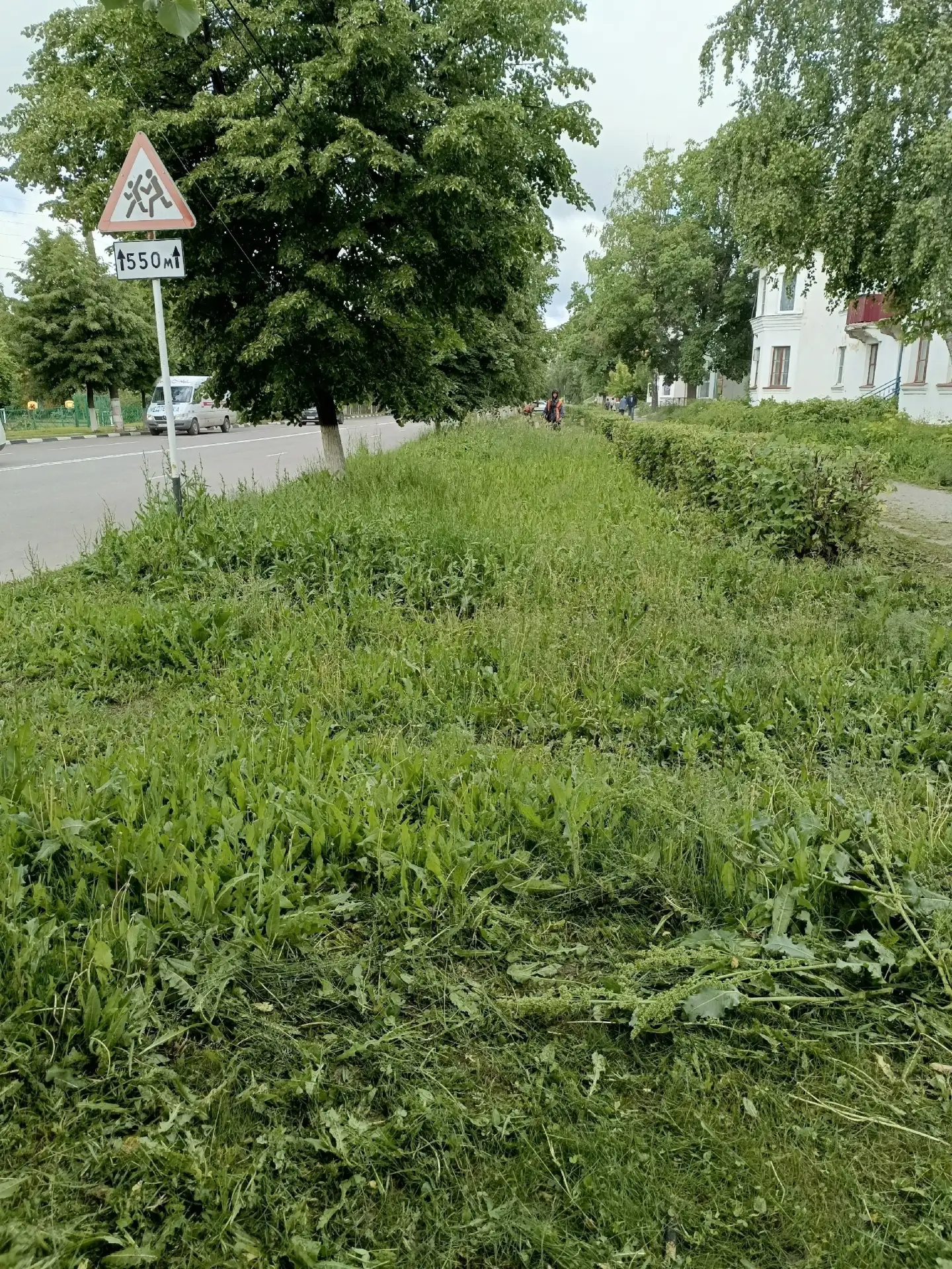 Сотрудники местного ООО «Благоустройство» провели комплекс работ по приведению в порядо...