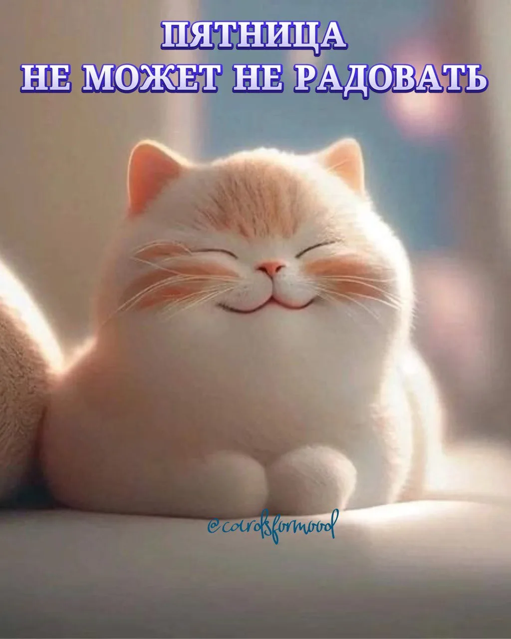 💌 Открытки