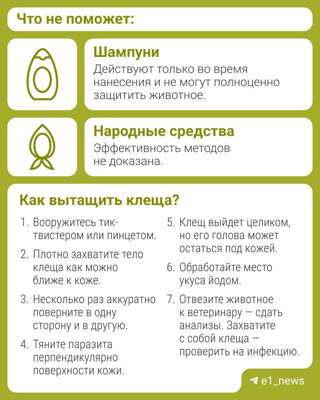 Теплая погода — время прогулок и... клещей. Будьте внимательны: последние присасываются не только к 