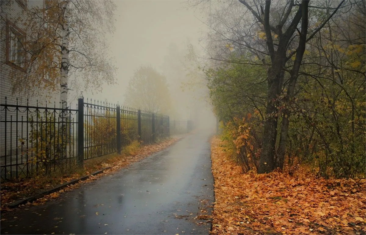 Осенние ночи холоднее, а это значит, что ночью и утром нас может поджидать туман. Будьт...