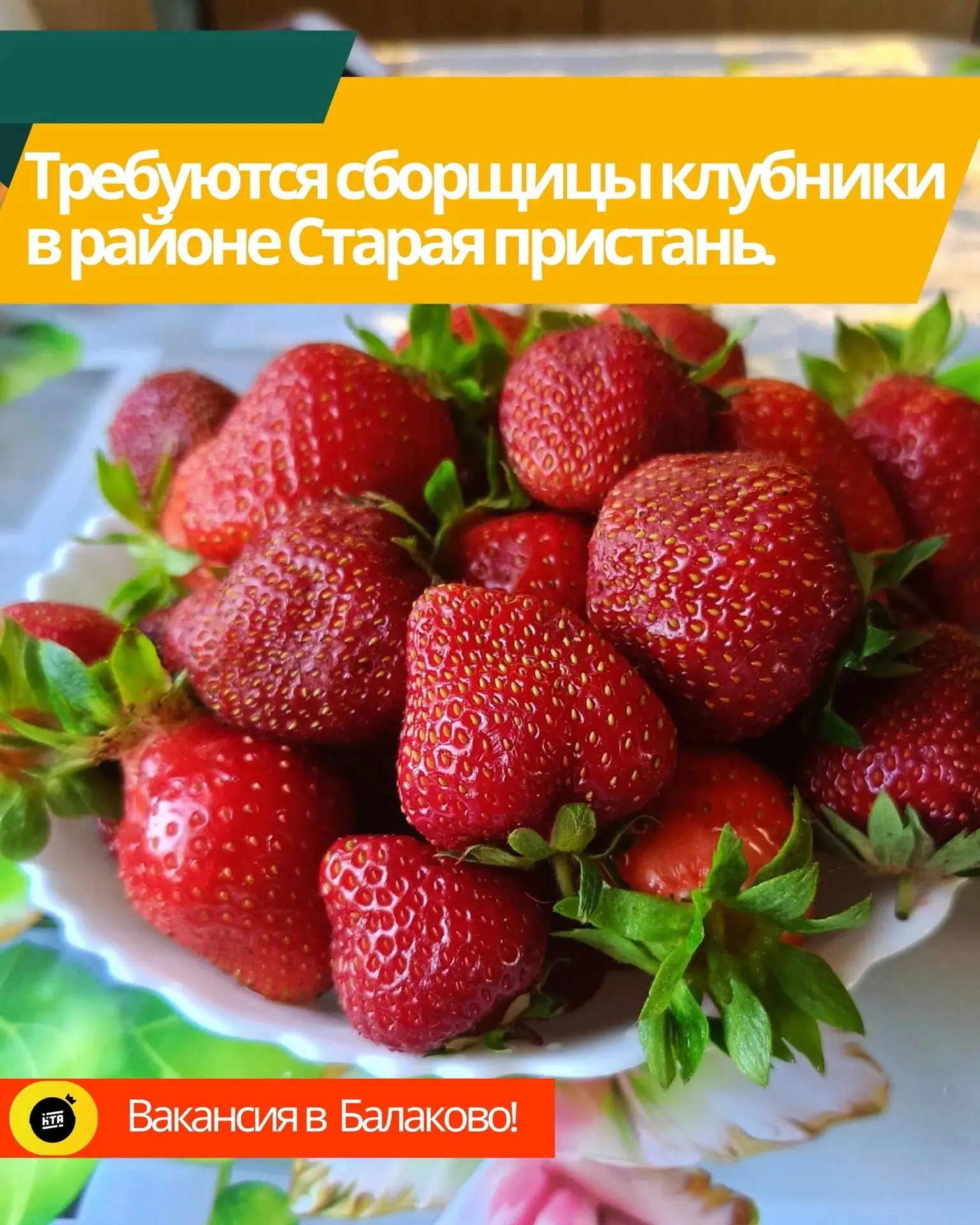 🍓Требуются сборщицы клубники в районе Старая пристань. 
 
Вас отвезут на транспорте от остановки Шл