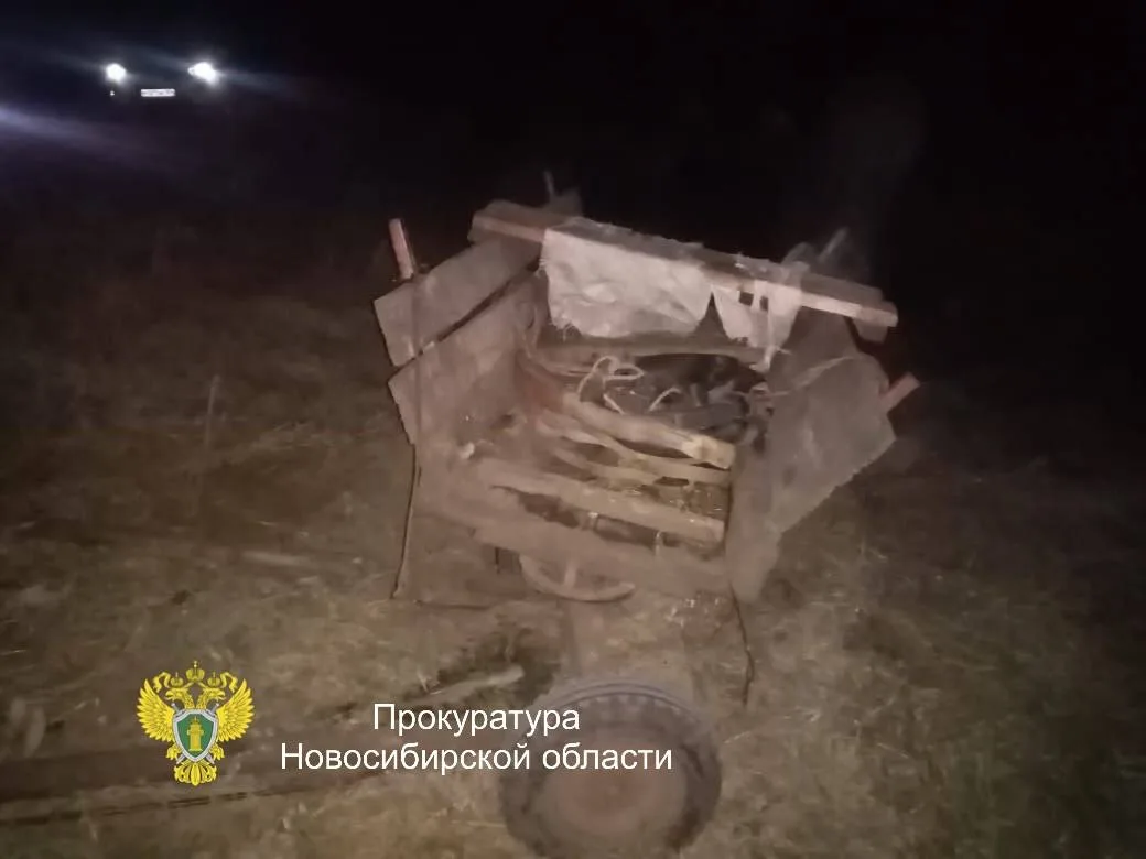 📍Смертельное ДТП с гужевой повозкой  Трагический инцидент на автодороге в Новосибирской области прив