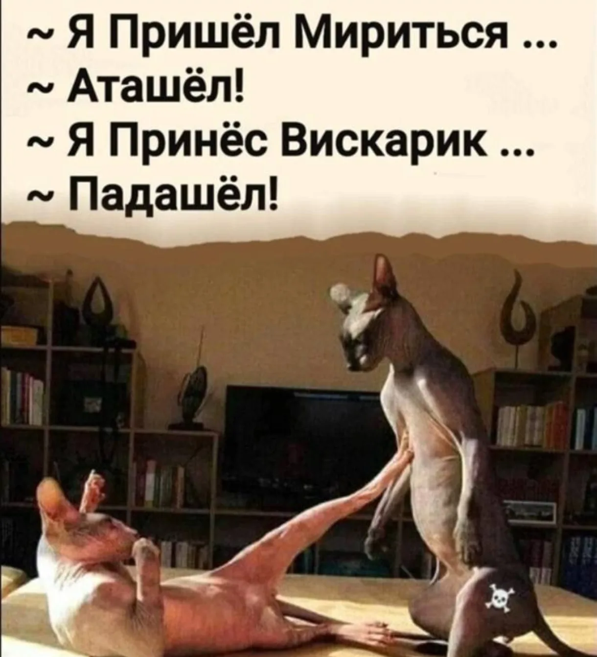 🤗 МАРУСЯ С ЮМОРОМ