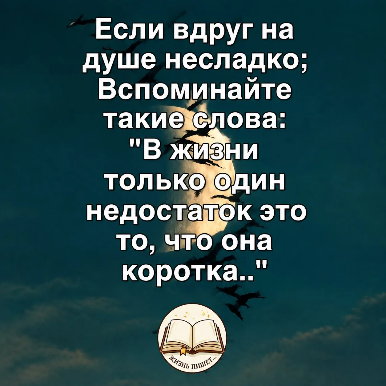 Изображение 1 к публикации «Жизнь пишет • Истории • Рассказы»