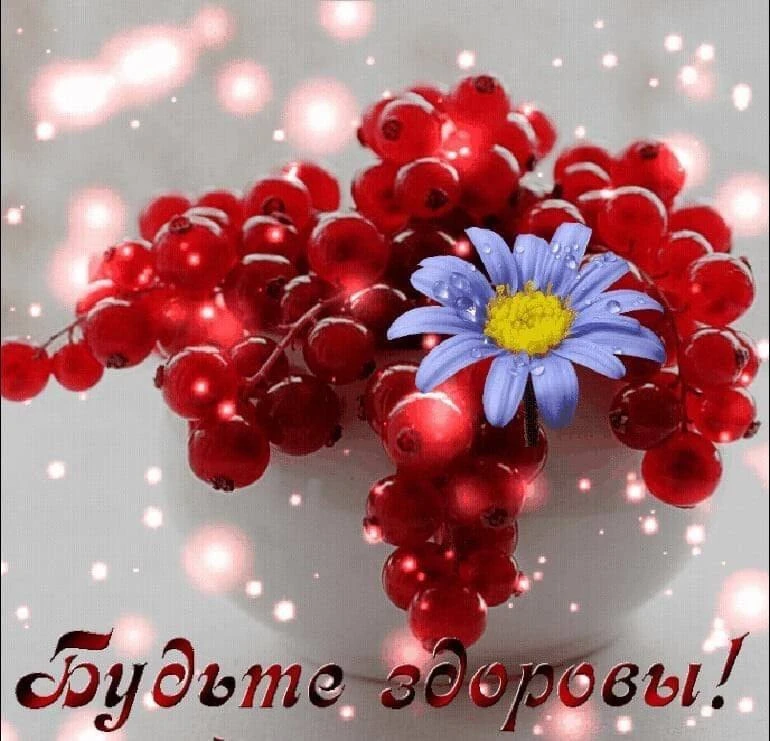 @pozdraf