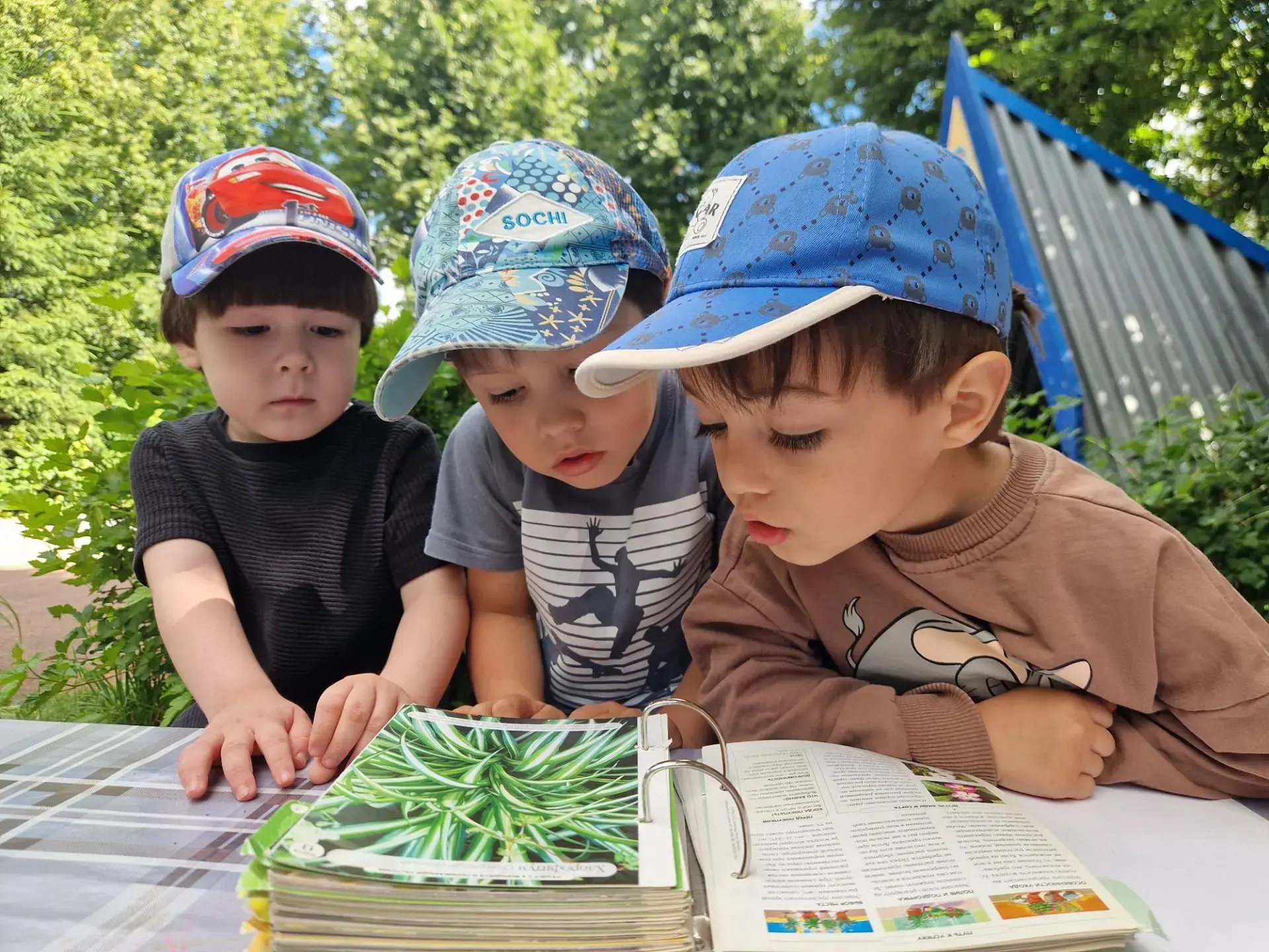 Сегодня ребята из 5️⃣ группы провели очень познавательный день🌞, посвященный миру цветов!🌷🌻🌷 Дет