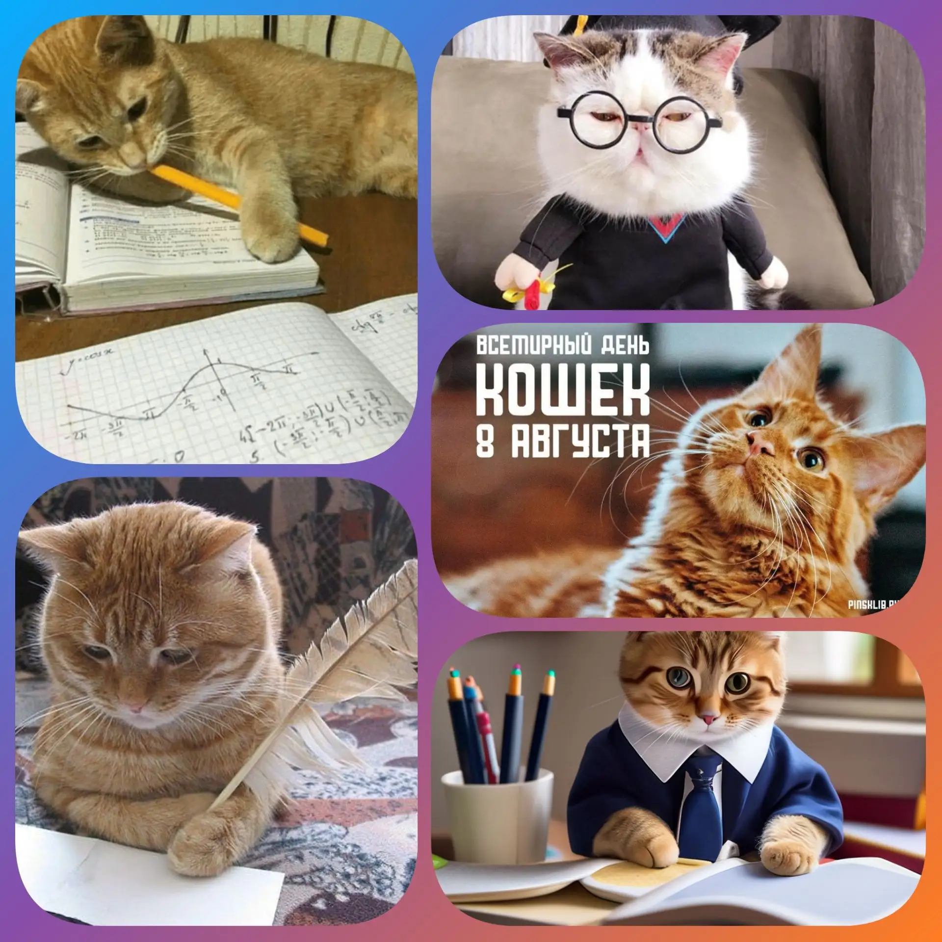 Всемирный день кошек — 8 августа! 🎉