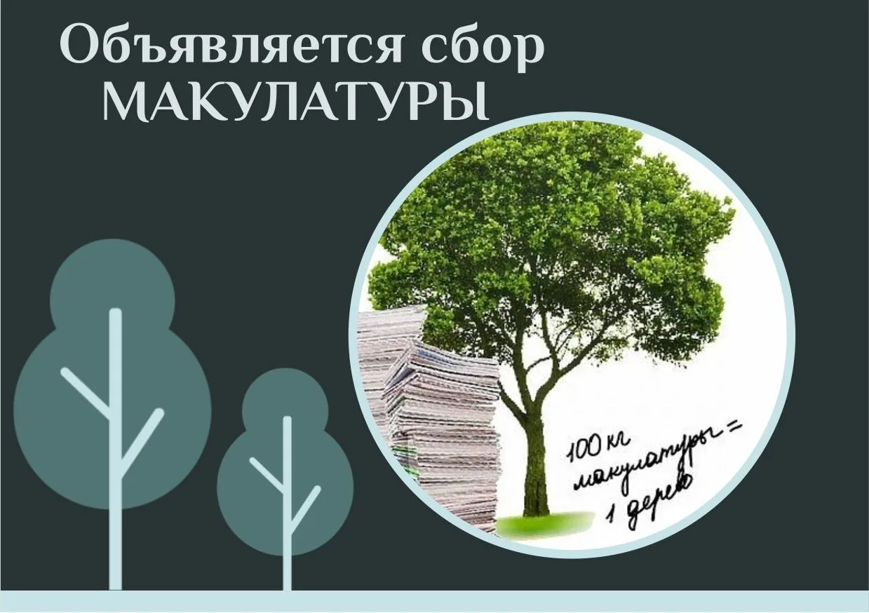 📌Сдай макулатуру — спаси жизнь!