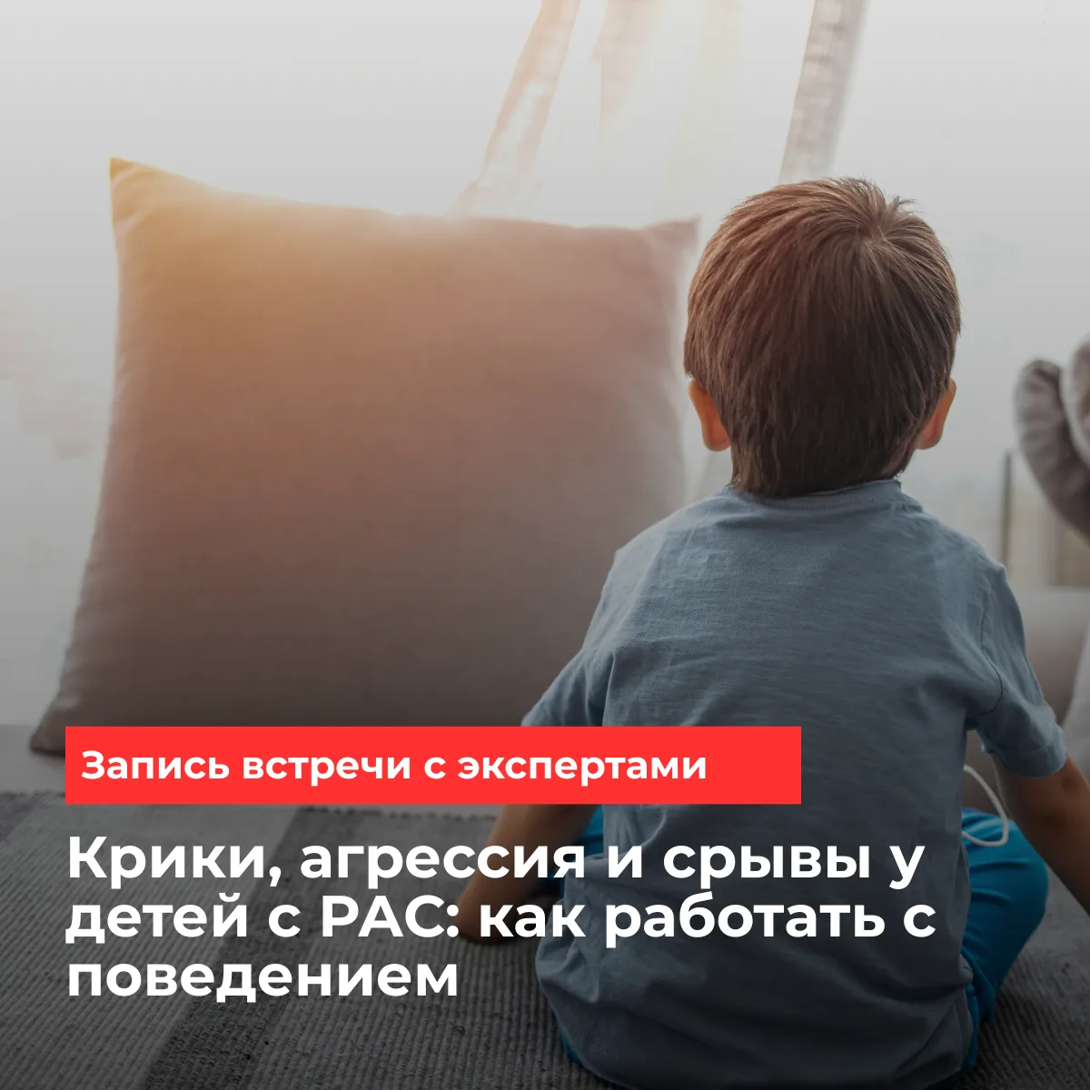 Мы уже провели встречу с экспертами "Крики, агрессия и срывы у детей с РАС: как работат...