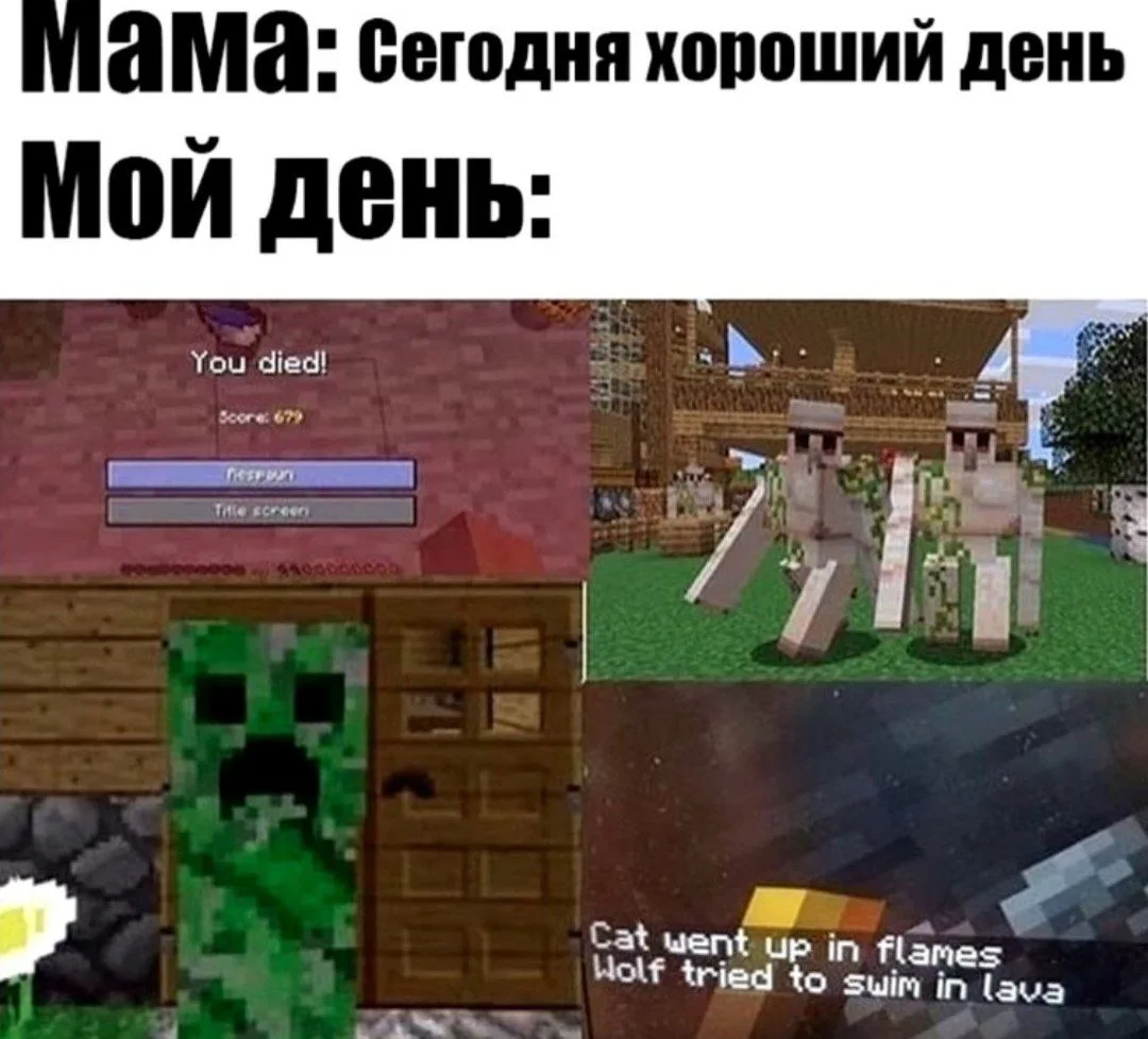 🤣
