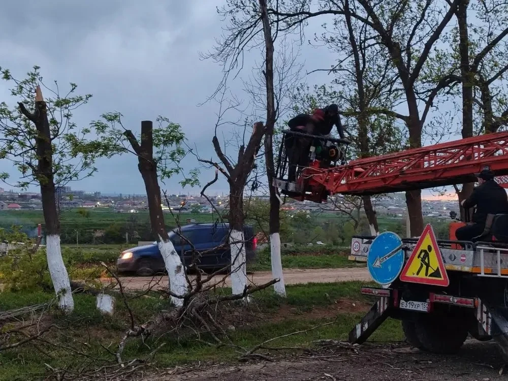В с. Атланаул провели работы по обрезке деревьев на улице М. Джанбулатова