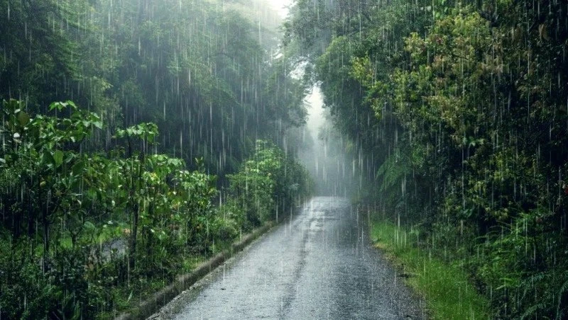 🌧 Бабье лето на Сахалине и Курилах прервут циклоны