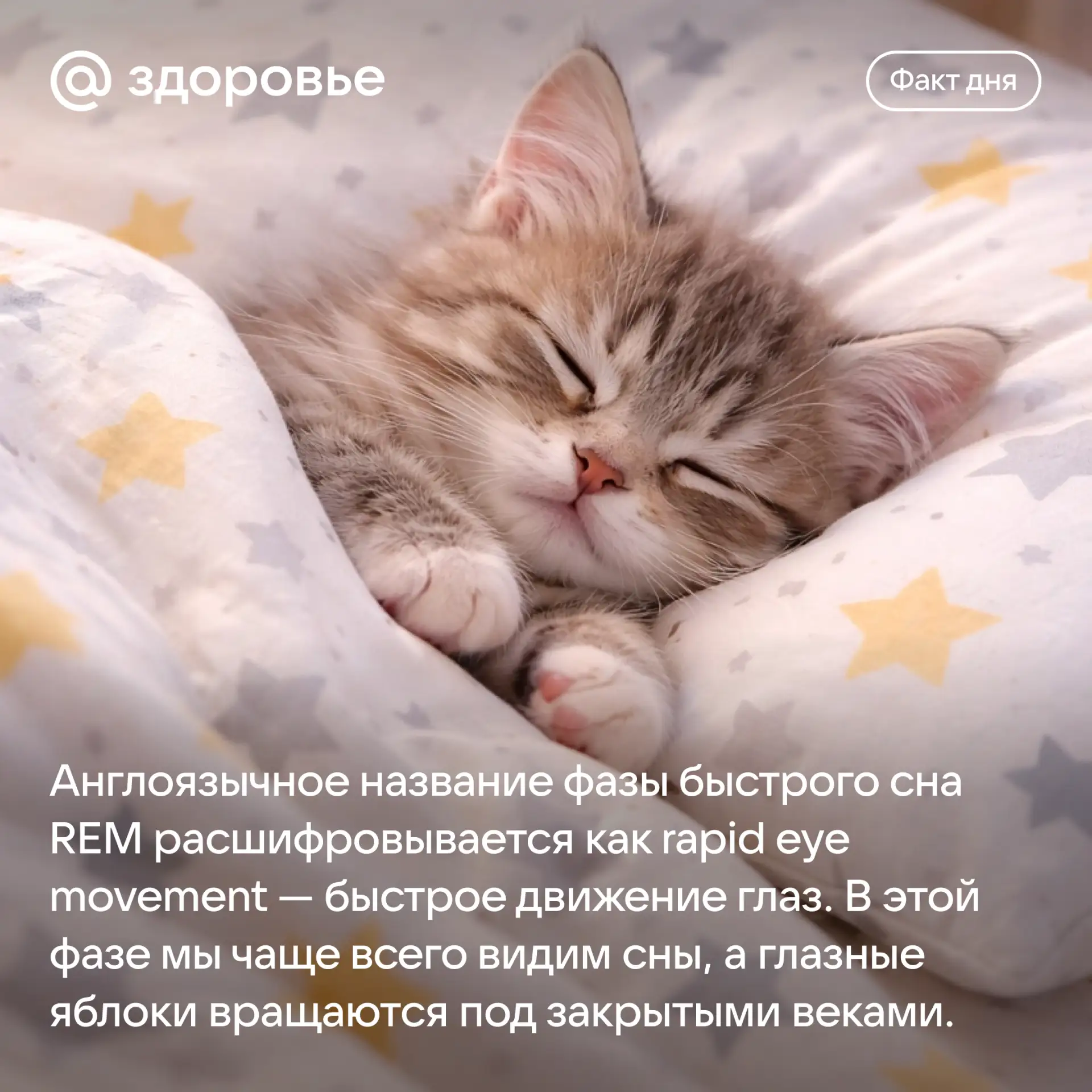 Хорошего дня! 🥰