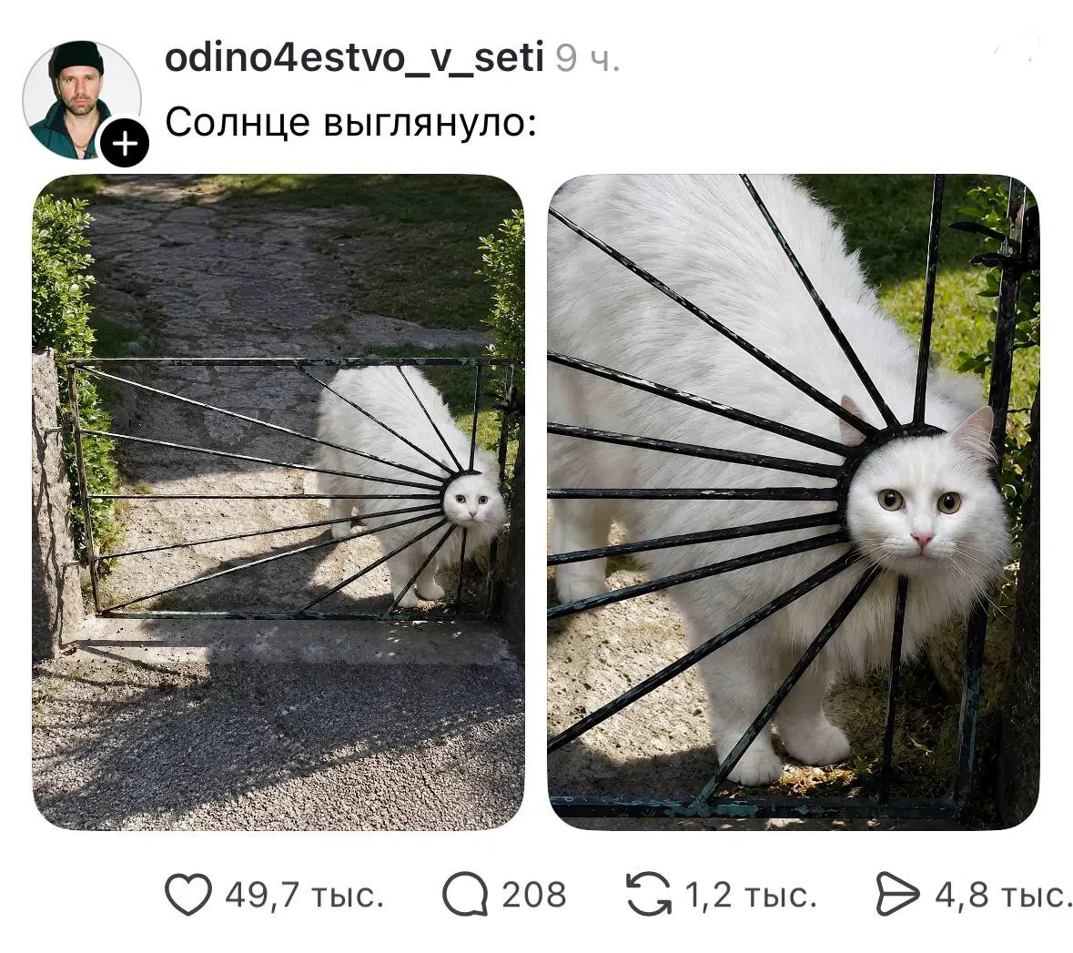 Фото