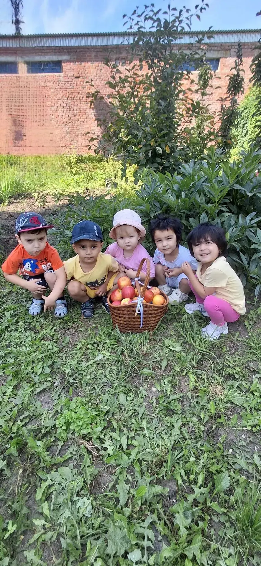 🍎🌳🍎Сегодня наши самые маленькие воспитанники отмечали один из самых ароматных и свет...