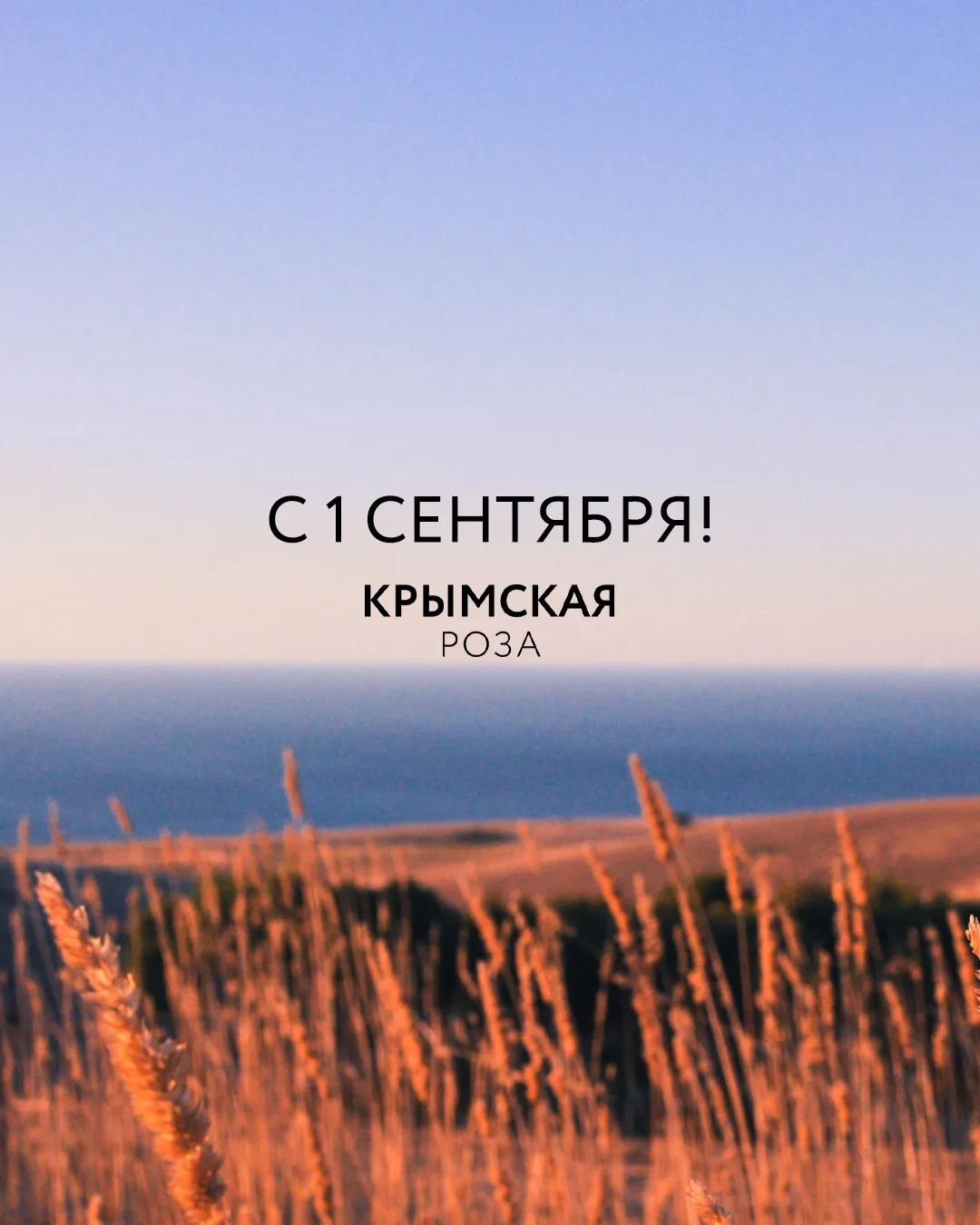 Осенью жизнь будто закручивается по спирали и превращается в нескончаемый бег. Между до...