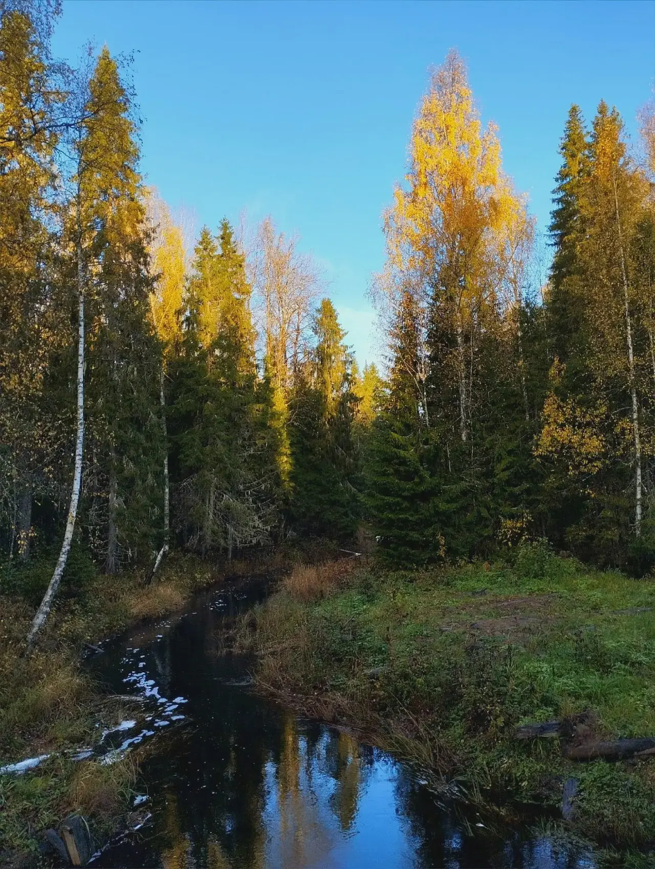🍂 Осень в Пудожском районе Карелии