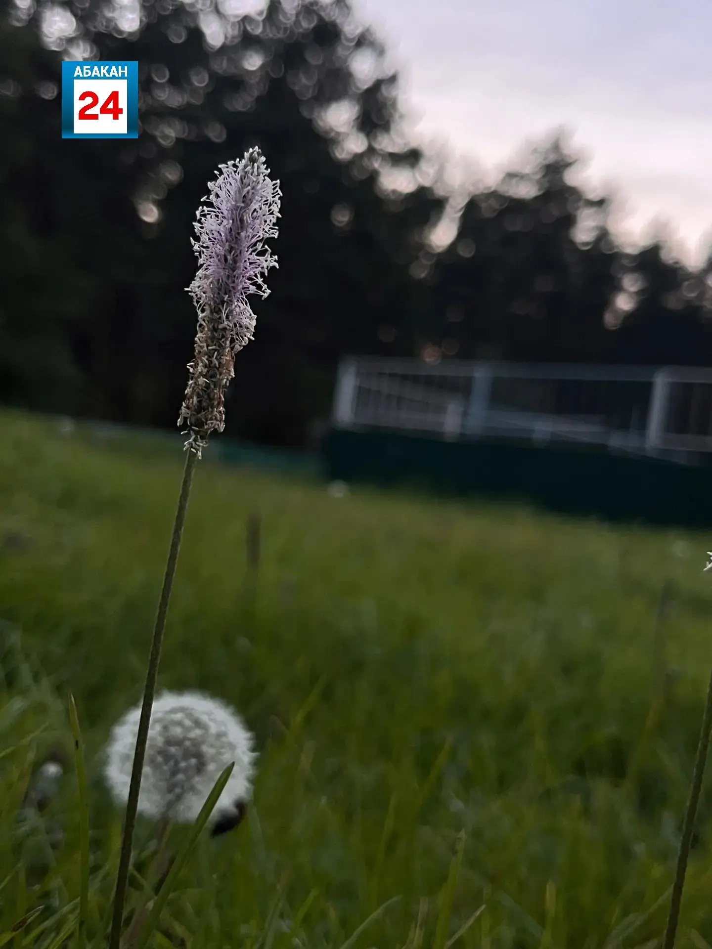 Доброе субботнее утро, друзья❤️