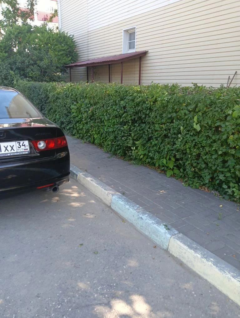 Выполнена стрижка живой изгороди  пр. Дружбы 35 "Г",  35 "Д"