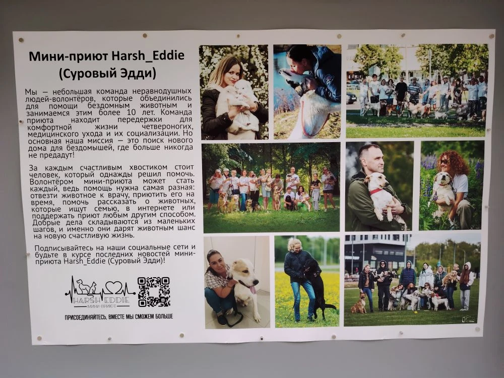 🐾 Дорогие друзья, в парке на выставочных стендах появилась новая  фотовыставка — пристройство от ми